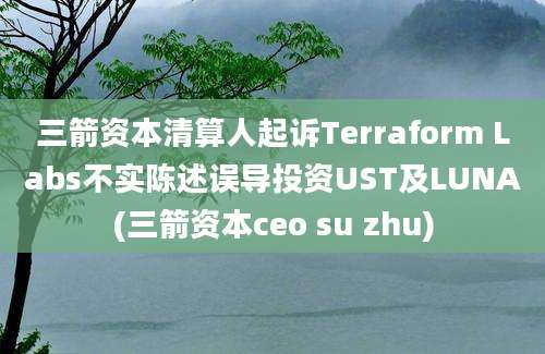 三箭资本清算人起诉Terraform Labs不实陈述误导投资UST及LUNA(三箭资本ceo su zhu)