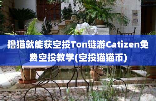 撸猫就能获空投Ton链游Catizen免费空投教学(空投猫猫币)