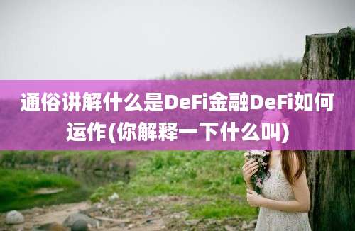 通俗讲解什么是DeFi金融DeFi如何运作(你解释一下什么叫)