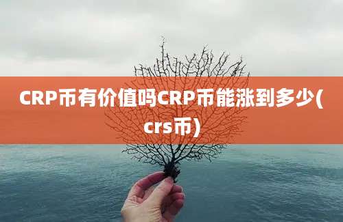 CRP币有价值吗CRP币能涨到多少(crs币)