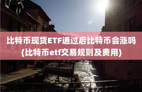 比特币现货ETF通过后比特币会涨吗(比特币etf交易规则及费用)