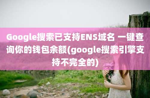 Google搜索已支持ENS域名 一键查询你的钱包余额(google搜索引擎支持不完全的)