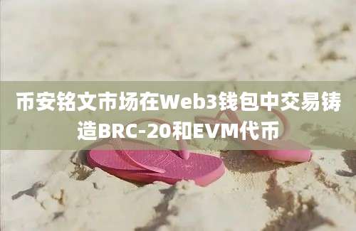 币安铭文市场在Web3钱包中交易铸造BRC-20和EVM代币