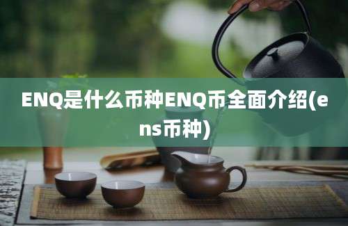 ENQ是什么币种ENQ币全面介绍(ens币种)