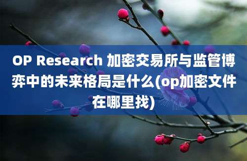 OP Research 加密交易所与监管博弈中的未来格局是什么(op加密文件在哪里找)