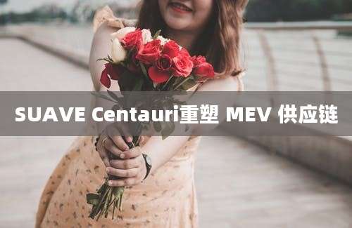 SUAVE Centauri重塑 MEV 供应链