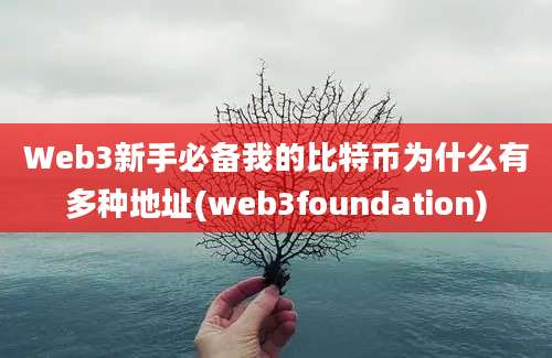 Web3新手必备我的比特币为什么有多种地址(web3foundation)