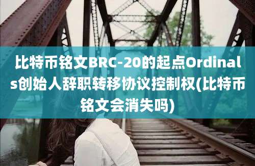 比特币铭文BRC-20的起点Ordinals创始人辞职转移协议控制权(比特币铭文会消失吗)