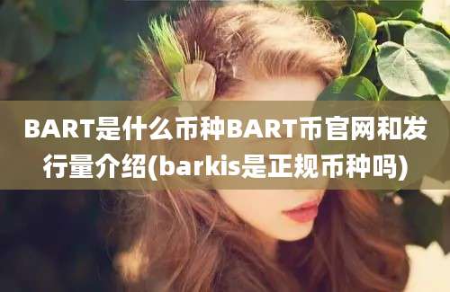 BART是什么币种BART币官网和发行量介绍(barkis是正规币种吗)