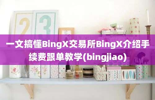 一文搞懂BingX交易所BingX介绍手续费跟单教学(bingjiao)