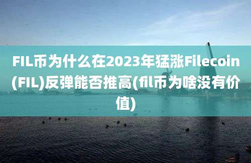 FIL币为什么在2023年猛涨Filecoin(FIL)反弹能否推高(fil币为啥没有价值)