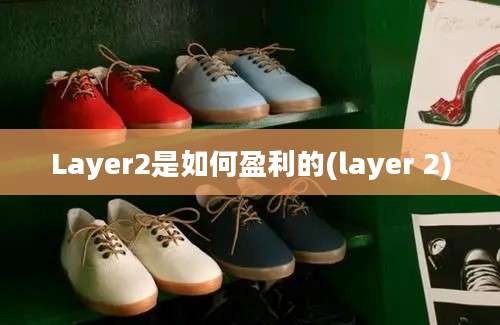 Layer2是如何盈利的(layer 2)