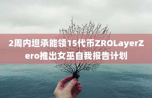 2周内坦承能领15代币ZROLayerZero推出女巫自我报告计划