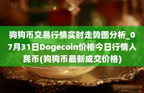 狗狗币交易行情实时走势图分析_07月31日Dogecoin价格今日行情人民币(狗狗币最新成交价格)