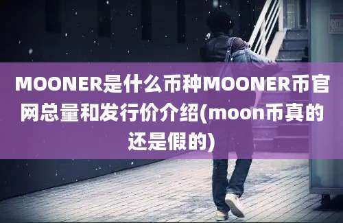 MOONER是什么币种MOONER币官网总量和发行价介绍(moon币真的还是假的)