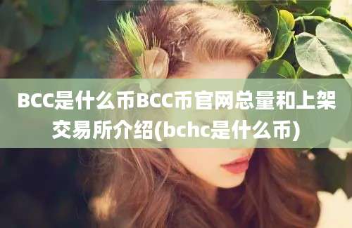 BCC是什么币BCC币官网总量和上架交易所介绍(bchc是什么币)