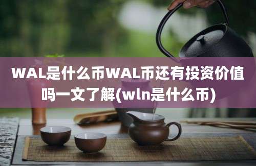 WAL是什么币WAL币还有投资价值吗一文了解(wln是什么币)