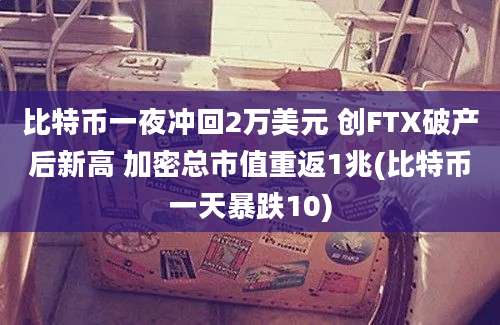 比特币一夜冲回2万美元 创FTX破产后新高 加密总市值重返1兆(比特币一天暴跌10)