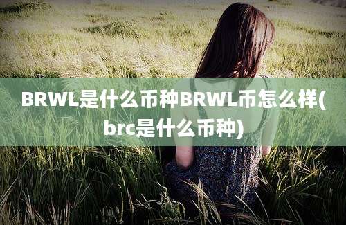 BRWL是什么币种BRWL币怎么样(brc是什么币种)