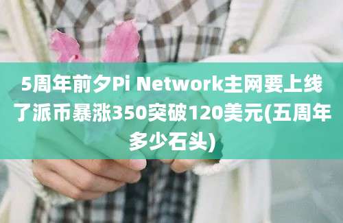 5周年前夕Pi Network主网要上线了派币暴涨350突破120美元(五周年多少石头)