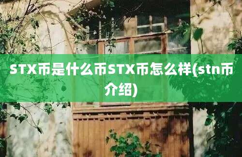 STX币是什么币STX币怎么样(stn币介绍)