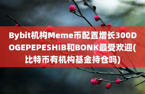 Bybit机构Meme币配置增长300DOGEPEPESHIB和BONK最受欢迎(比特币有机构基金持仓吗)