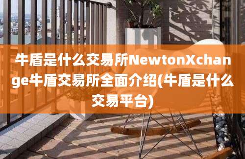 牛盾是什么交易所NewtonXchange牛盾交易所全面介绍(牛盾是什么交易平台)