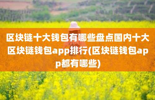 区块链十大钱包有哪些盘点国内十大区块链钱包app排行(区块链钱包app都有哪些)