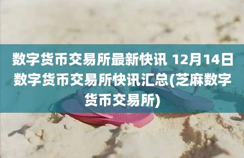 数字货币交易所最新快讯 12月14日数字货币交易所快讯汇总(芝麻数字货币交易所)