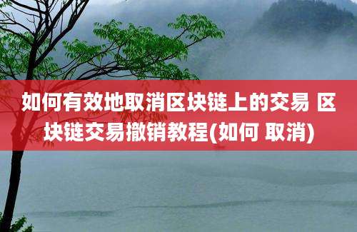 如何有效地取消区块链上的交易 区块链交易撤销教程(如何 取消)