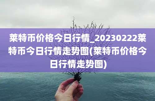 莱特币价格今日行情_20230222莱特币今日行情走势图(莱特币价格今日行情走势图)