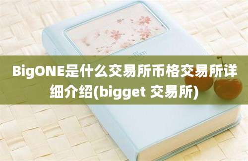 BigONE是什么交易所币格交易所详细介绍(bigget 交易所)