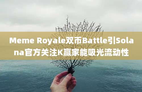 Meme Royale双币Battle引Solana官方关注K赢家能吸光流动性