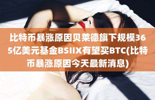 比特币暴涨原因贝莱德旗下规模365亿美元基金BSIIX有望买BTC(比特币暴涨原因今天最新消息)