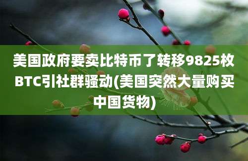 美国政府要卖比特币了转移9825枚BTC引社群骚动(美国突然大量购买中国货物)