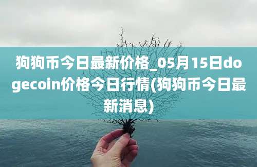 狗狗币今日最新价格_05月15日dogecoin价格今日行情(狗狗币今日最新消息)