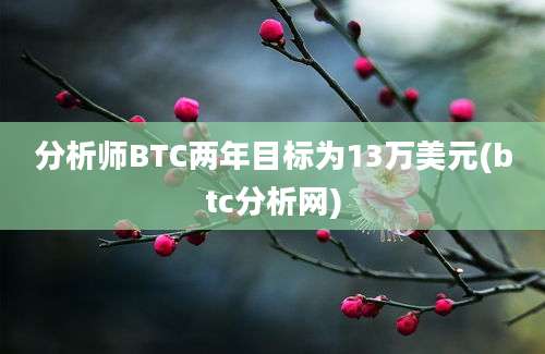 分析师BTC两年目标为13万美元(btc分析网)