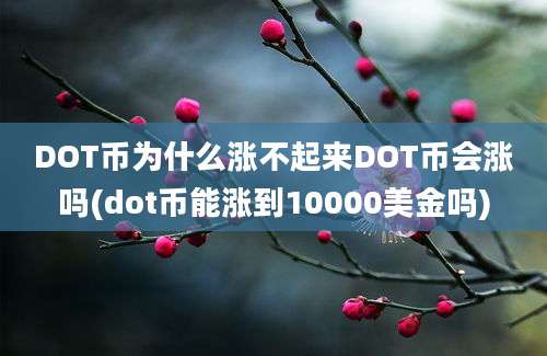 DOT币为什么涨不起来DOT币会涨吗(dot币能涨到10000美金吗)