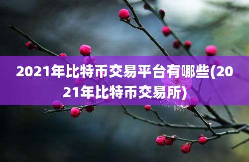 2021年比特币交易平台有哪些(2021年比特币交易所)