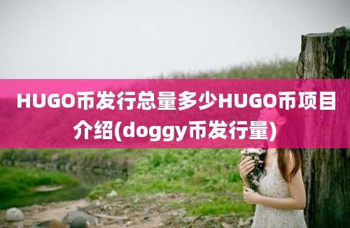 HUGO币发行总量多少HUGO币项目介绍(doggy币发行量)