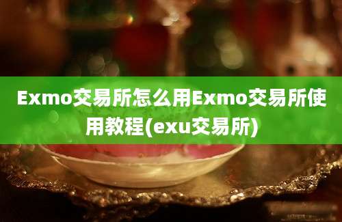 Exmo交易所怎么用Exmo交易所使用教程(exu交易所)