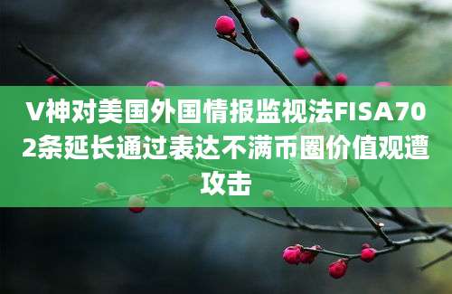 V神对美国外国情报监视法FISA702条延长通过表达不满币圈价值观遭攻击