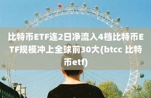 比特币ETF连2日净流入4档比特币ETF规模冲上全球前30大(btcc 比特币etf)