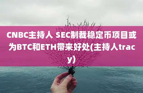 CNBC主持人 SEC制裁稳定币项目或为BTC和ETH带来好处(主持人tracy)