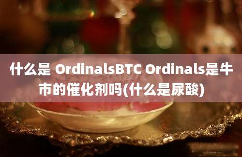 什么是 OrdinalsBTC Ordinals是牛市的催化剂吗(什么是尿酸)