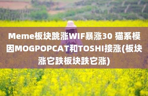 Meme板块跳涨WIF暴涨30 猫系模因MOGPOPCAT和TOSHI接涨(板块涨它跌板块跌它涨)