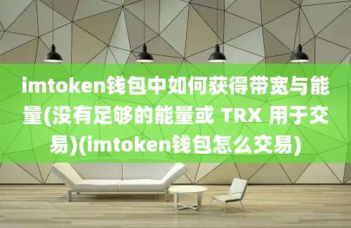 imtoken钱包中如何获得带宽与能量(没有足够的能量或 TRX 用于交易)(imtoken钱包怎么交易)