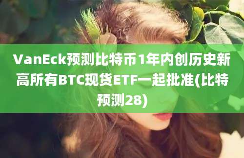 VanEck预测比特币1年内创历史新高所有BTC现货ETF一起批准(比特预测28)