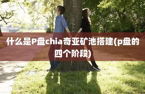 什么是P盘chia奇亚矿池搭建(p盘的四个阶段)