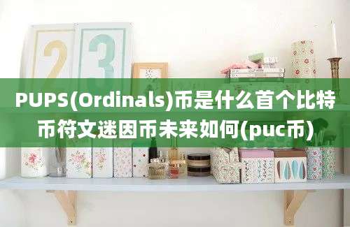 PUPS(Ordinals)币是什么首个比特币符文迷因币未来如何(puc币)